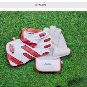 Dragon Keeping Gloves